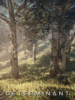 Determinant cover art