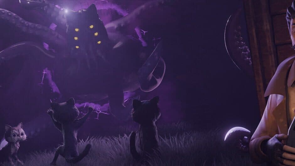 Paws Coven banner