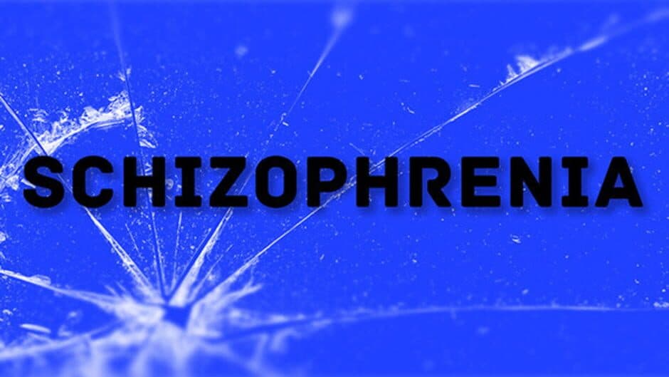 Schizophrenia: R.E.M. Protocol banner