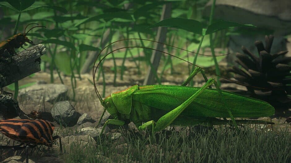 Insect Worlds banner